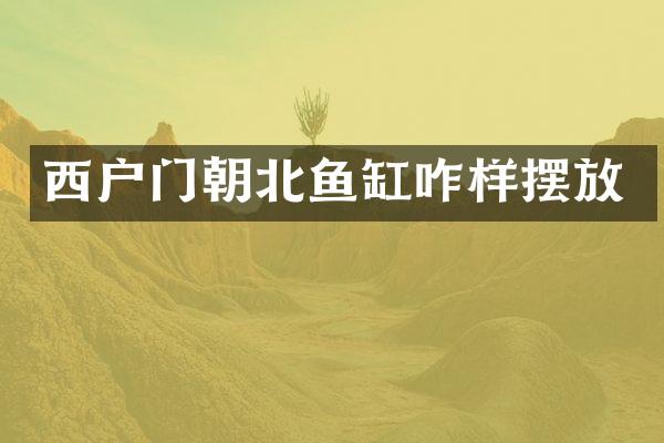 西户门朝北鱼缸咋样摆放