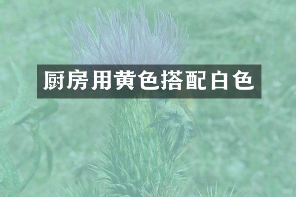 厨房用黄色搭配白色