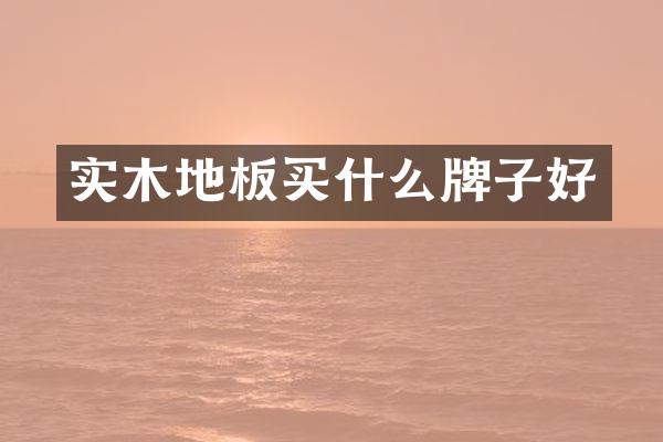 实木地板买什么牌子好