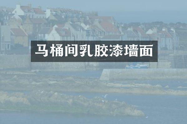 马桶间乳胶漆墙面