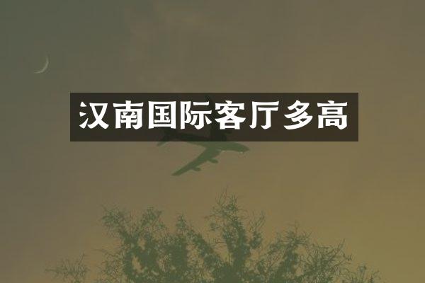 汉南国际客厅多高