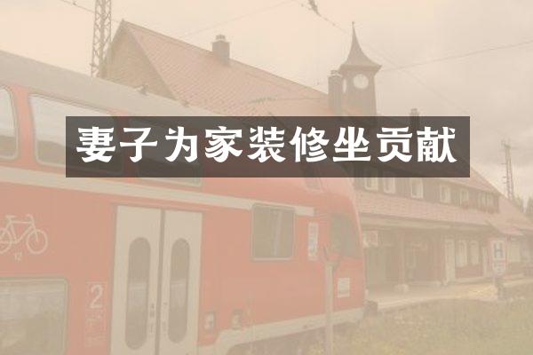 妻子为家装修坐贡献