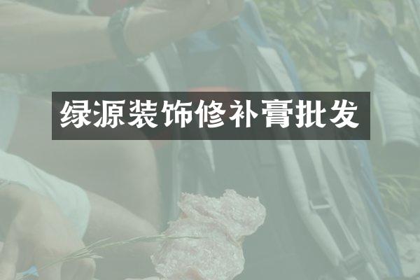 绿源装饰修补膏批发