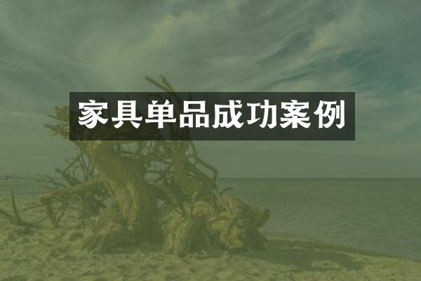 家具单品成功案例