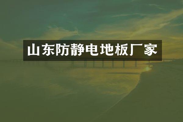 山东防静电地板厂家