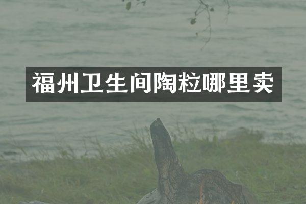 福州卫生间陶粒哪里卖