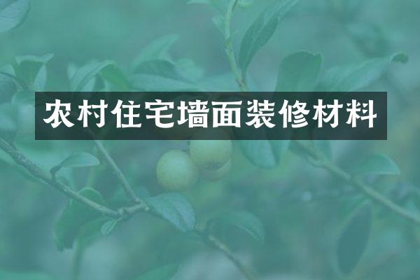 农村住宅墙面装修材料