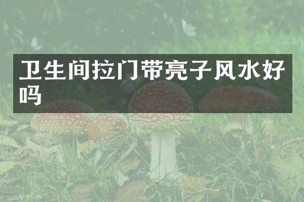 卫生间拉门带亮子风水好吗