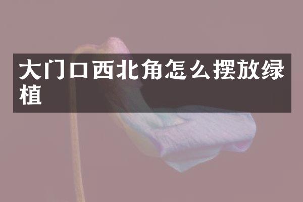 大门口西北角怎么摆放绿植