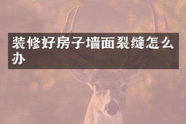 装修好房子墙面裂缝怎么办
