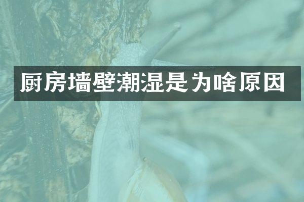 厨房墙壁潮湿是为啥原因