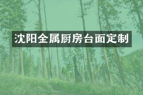 沈阳金属厨房台面定制