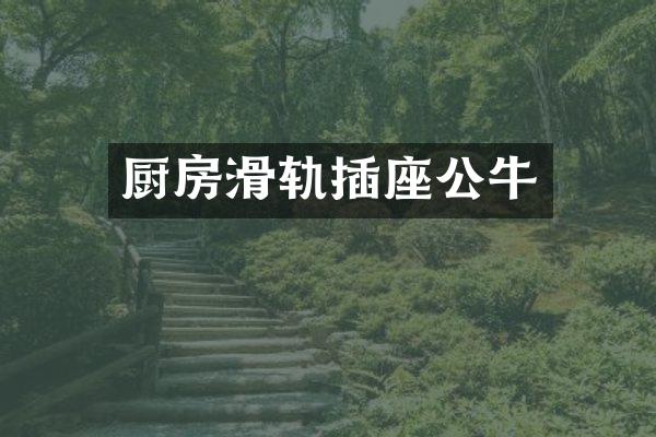 厨房滑轨插座公牛