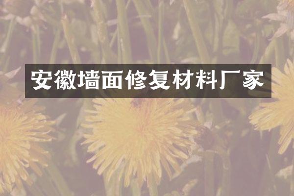 安徽墙面修复材料厂家