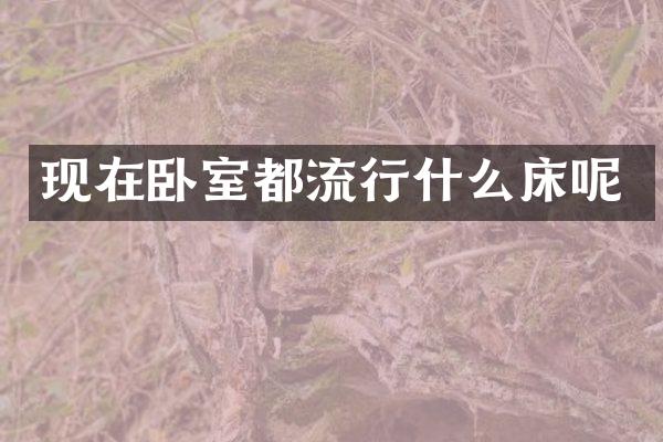 现在卧室都流行什么床呢