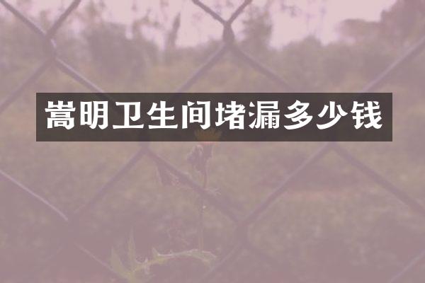 嵩明卫生间堵漏多少钱