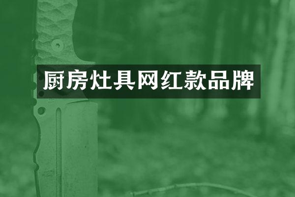 厨房灶具网红款品牌