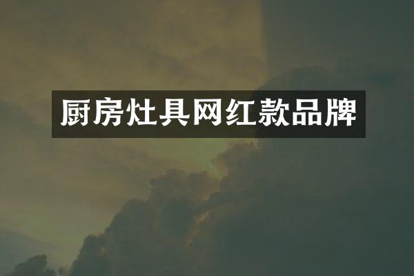 厨房灶具网红款品牌