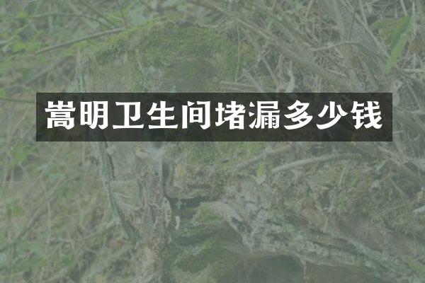 嵩明卫生间堵漏多少钱