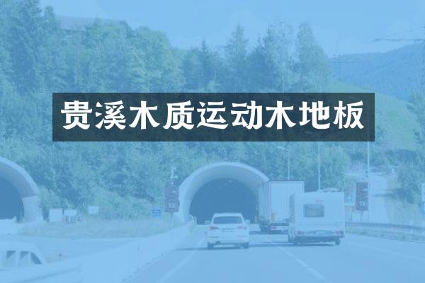 贵溪木质运动木地板