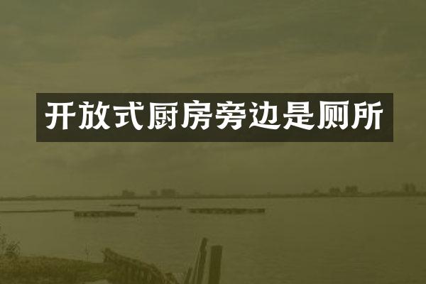 开放式厨房旁边是厕所
