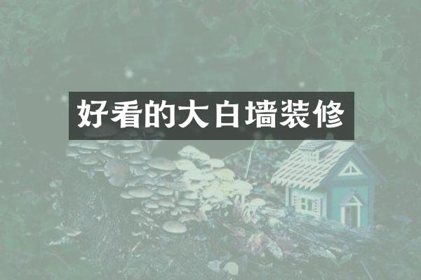 好看的大白墙装修