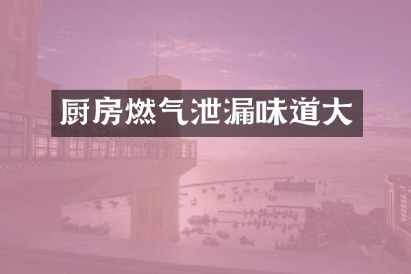 厨房燃气泄漏味道大