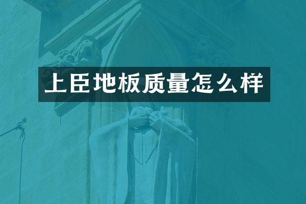上臣地板质量怎么样