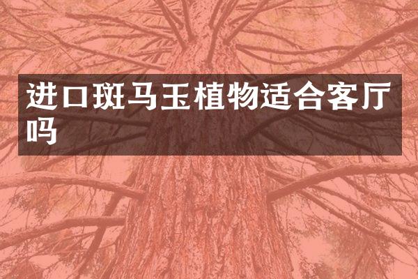 进口斑马玉植物适合客厅吗