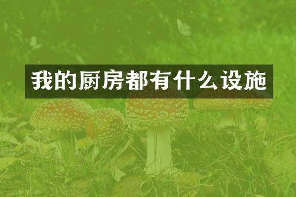 我的厨房都有什么设施