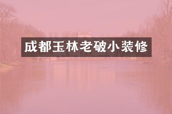 成都玉林老破小装修