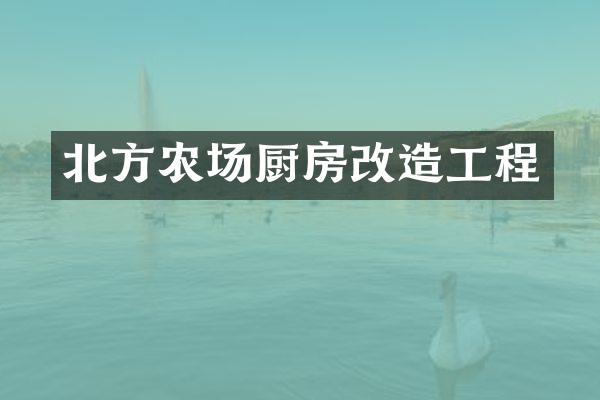 北方农场厨房改造工程