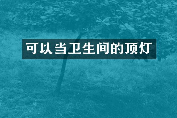 可以当卫生间的顶灯