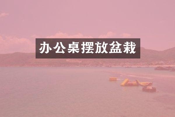 办公桌摆放盆栽