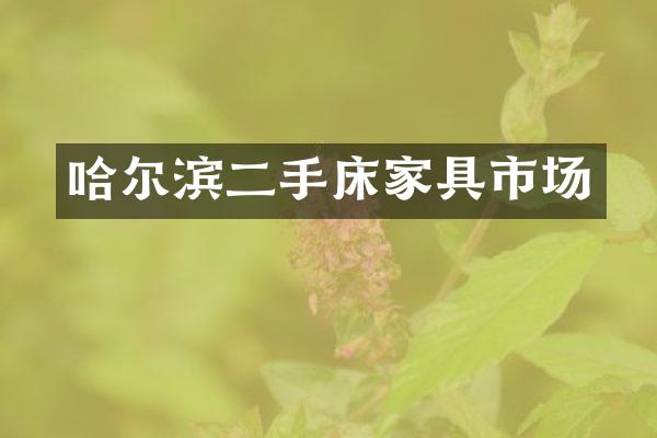 哈尔滨二手床家具市场