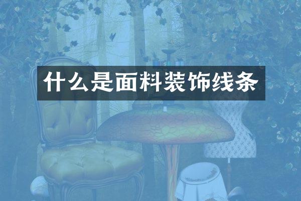 什么是面料装饰线条