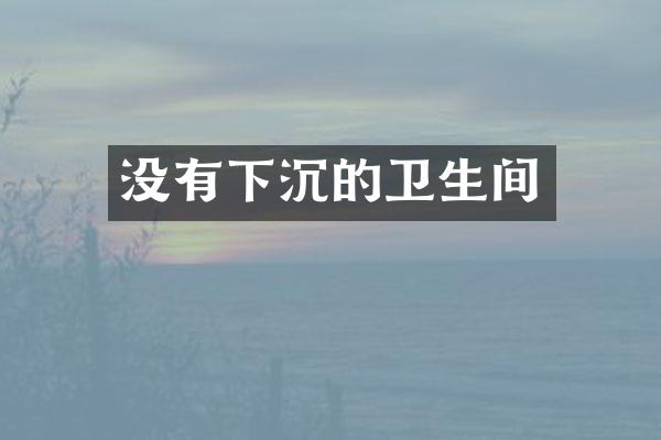 没有下沉的卫生间