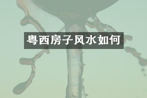 粤西房子风水如何