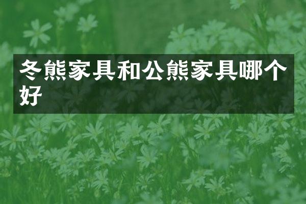 冬熊家具和公熊家具哪个好