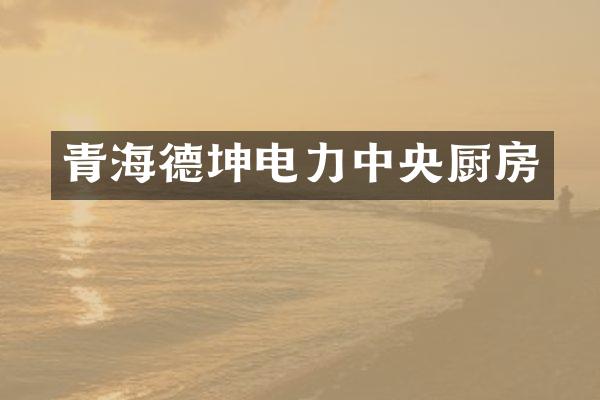 青海德坤电力中央厨房