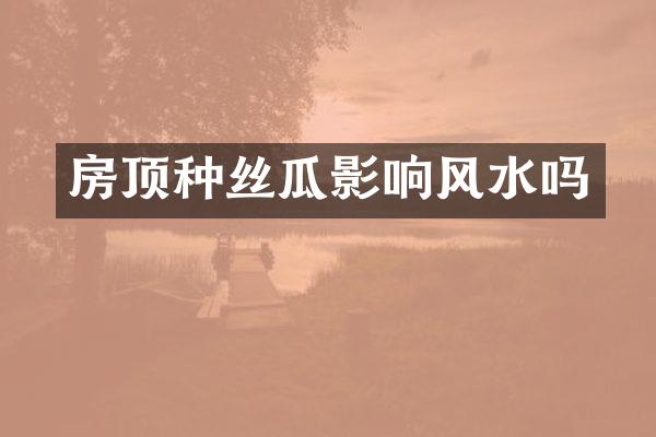 房顶种丝瓜影响风水吗