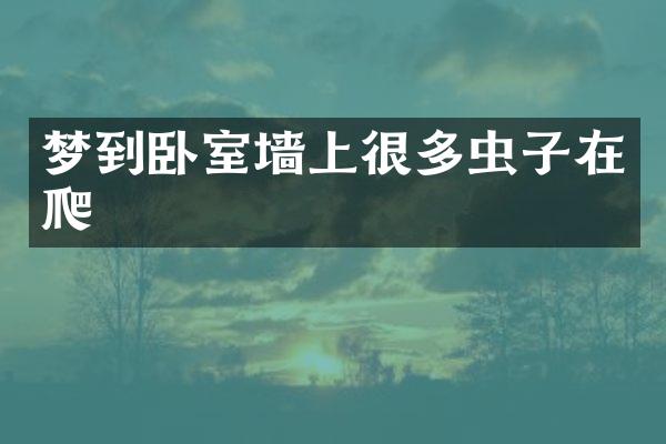梦到卧室墙上很多虫子在爬