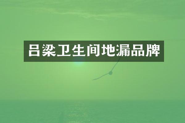 吕梁卫生间地漏品牌
