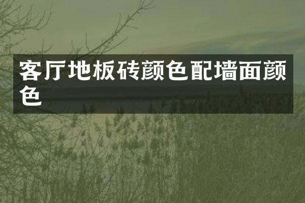 客厅地板砖颜色配墙面颜色