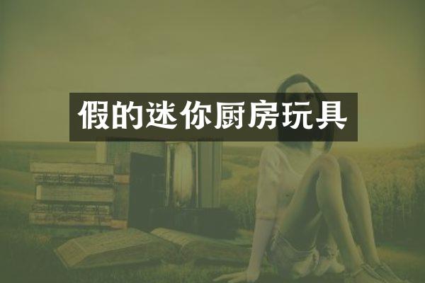假的迷你厨房玩具