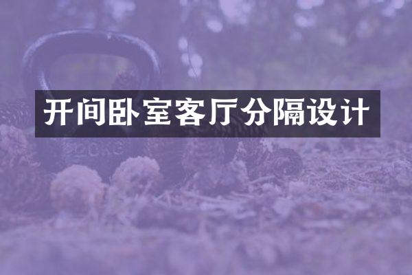 开间卧室客厅分隔设计
