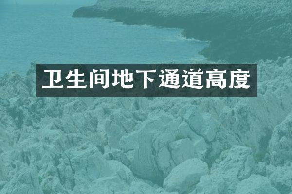 卫生间地下通道高度