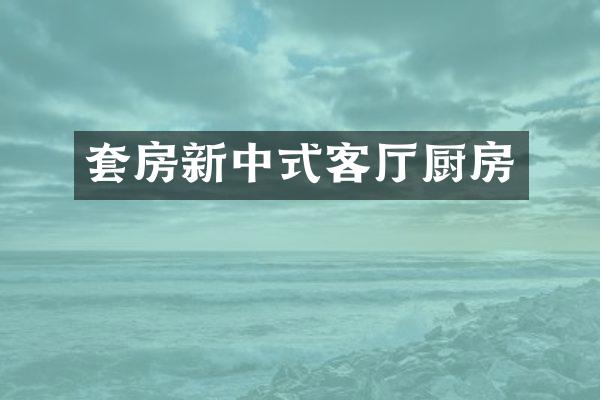 套房新中式客厅厨房