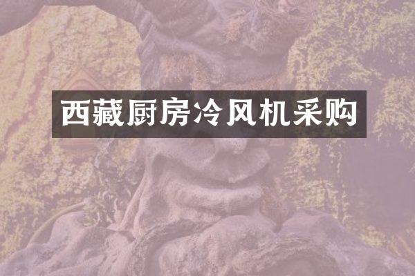 西藏厨房冷风机采购
