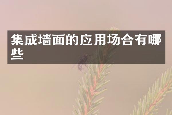 集成墙面的应用场合有哪些
